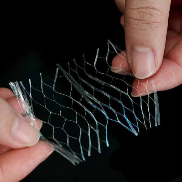 reticular fiber - Image 2